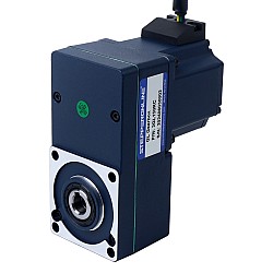 Moteur BLDC à engrenages 24V 40W 20RPM 13,00Nm(1840,95oz.in) 150:1 avec boîte de vitesses à arbre creux parallèle
