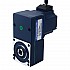 Motoriduttore BLDC 24V 40W 20RPM 13,00Nm(1840,95oz.in) 150:1 con riduttore ad albero cavo parallelo