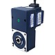 Motore DC brushless con ingranaggio 24V 60W 20RPM 21,00Nm(2973,84oz.in) 150:1 con riduttore ad albero cavo parallelo - F4B60-24GL-30S/4GL150RC | StepperOnline UK