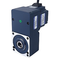 Motoriduttore BLDC 24V 150W 100RPM 10,50Nm(1486,92oz.in) 30:1 con riduttore ad albero cavo parallelo