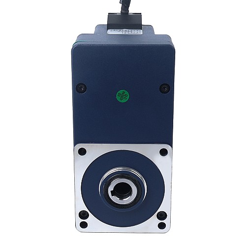 Motore DC brushless con ingranaggio 24V 60W 20RPM 21,00Nm(2973,84oz.in) 150:1 con riduttore ad albero cavo parallelo - F4B60-24GL-30S/4GL150RC | StepperOnline UK
