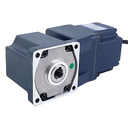 48V 150W 300RPM Getriebe-BLDC-Motor 3,41Nm(483,00oz.in) 10:1 Winkelgetriebe